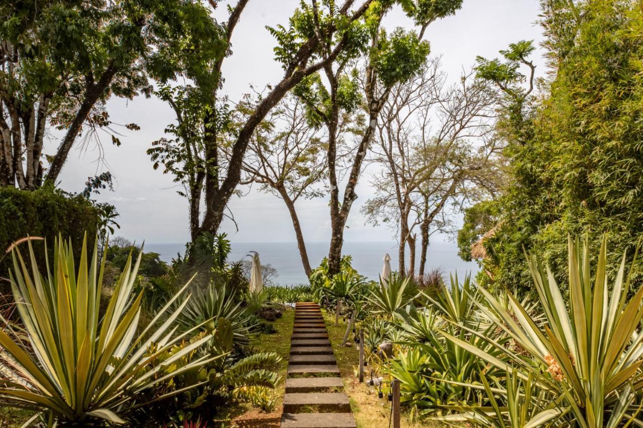 Thea Resort & Retreats - Santa Teresa Playa Santa Teresa  Luaran gambar
