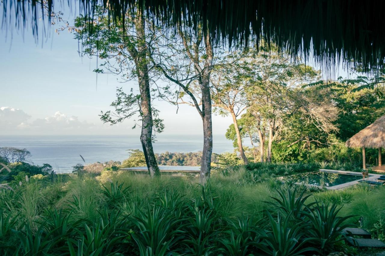Thea Resort & Retreats - Santa Teresa Playa Santa Teresa  Luaran gambar