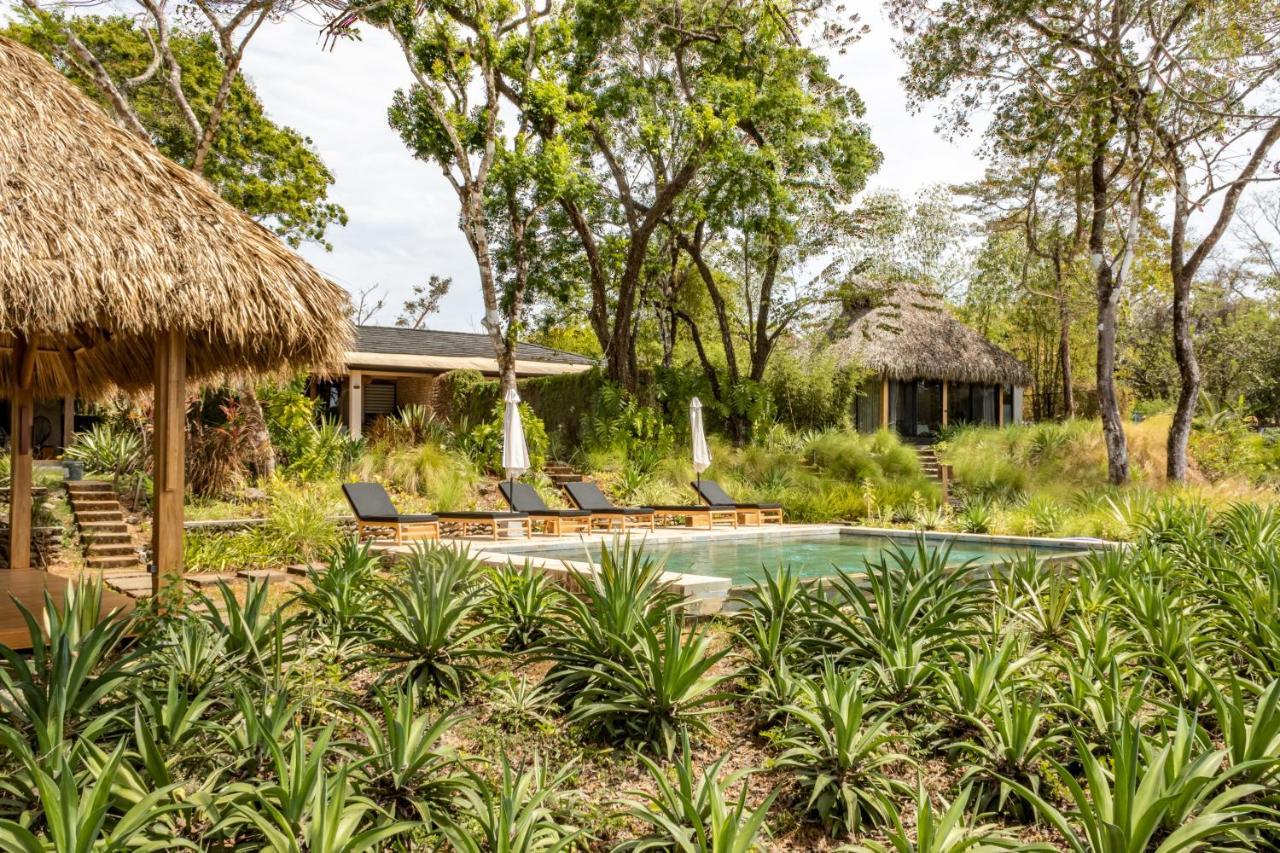 Thea Resort & Retreats - Santa Teresa Playa Santa Teresa  Luaran gambar